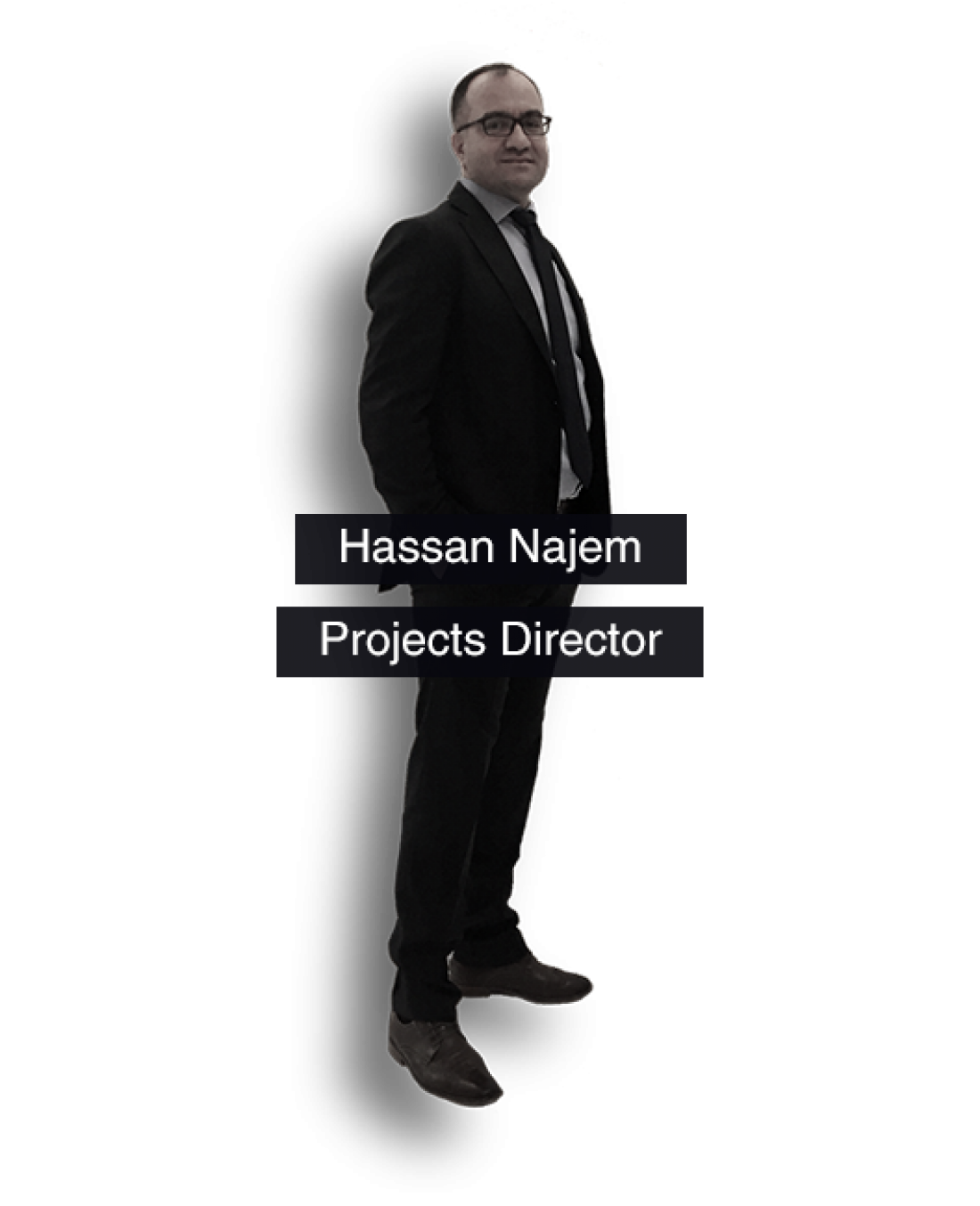 cenve staff member project director